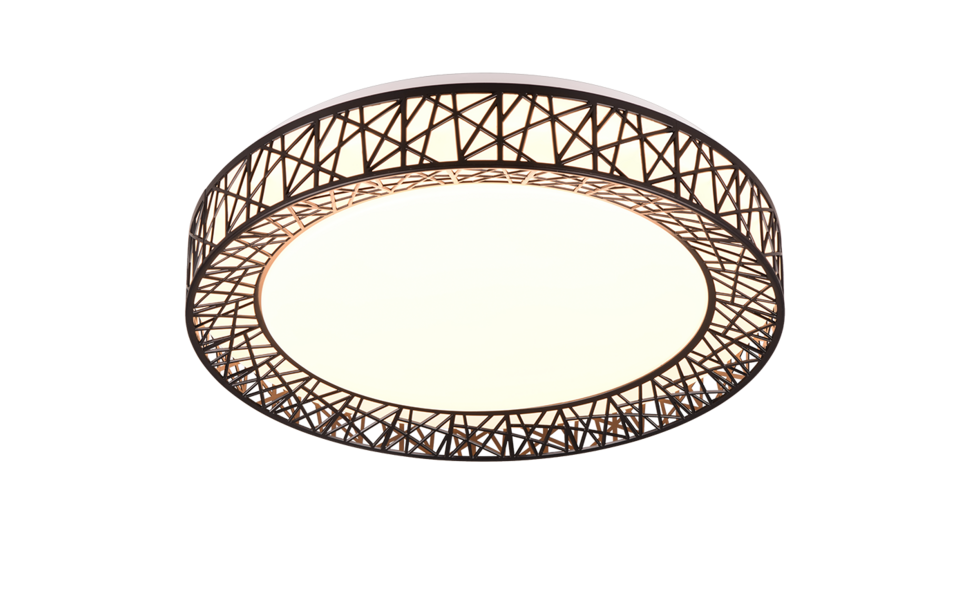 Trio Lighting Trio CLUSTER LED ceiling light | 1x 40W 4300 lm 2700-6500K | Ø 48 cm | IP20 | 9 cm Trio Lighting Trio CLUSTER LED ceiling light | 1x 40W 4300 lm 2700-6500K | Ø 48 cm | IP20 | 9 cm