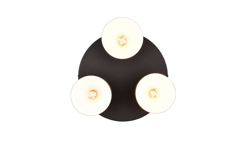 Trio Lighting Trio AGUDO ceiling light | 3x E27 max 40W | IP20 | 24.5 cm