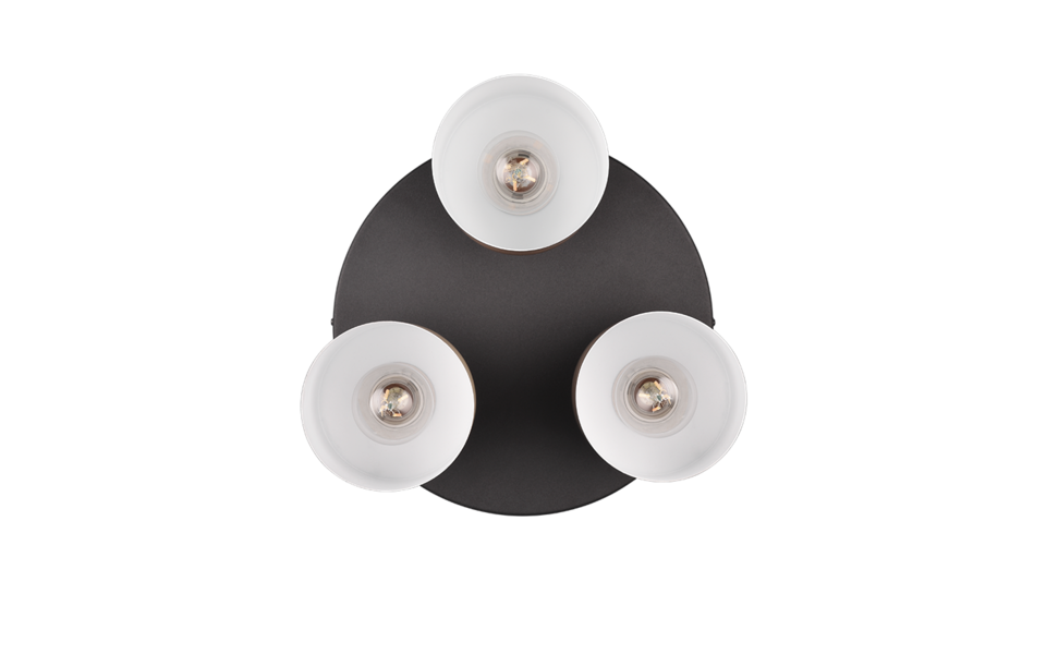 Trio Lighting Trio AGUDO ceiling light | 3x E27 max 40W | IP20 | 24.5 cm