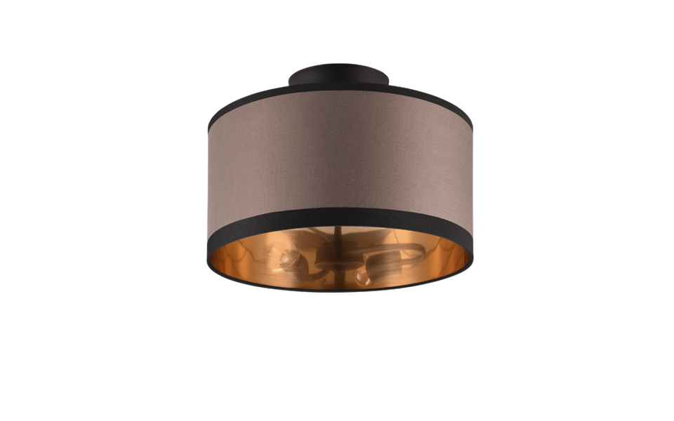 Trio Lighting Trio DAVOS ceiling light | 2x E14 max 40W | IP20 | 22 cm