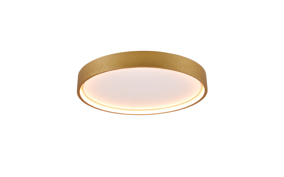 Trio Lighting Trio DOHA ceiling light | 30W | IP20 | 5 cm