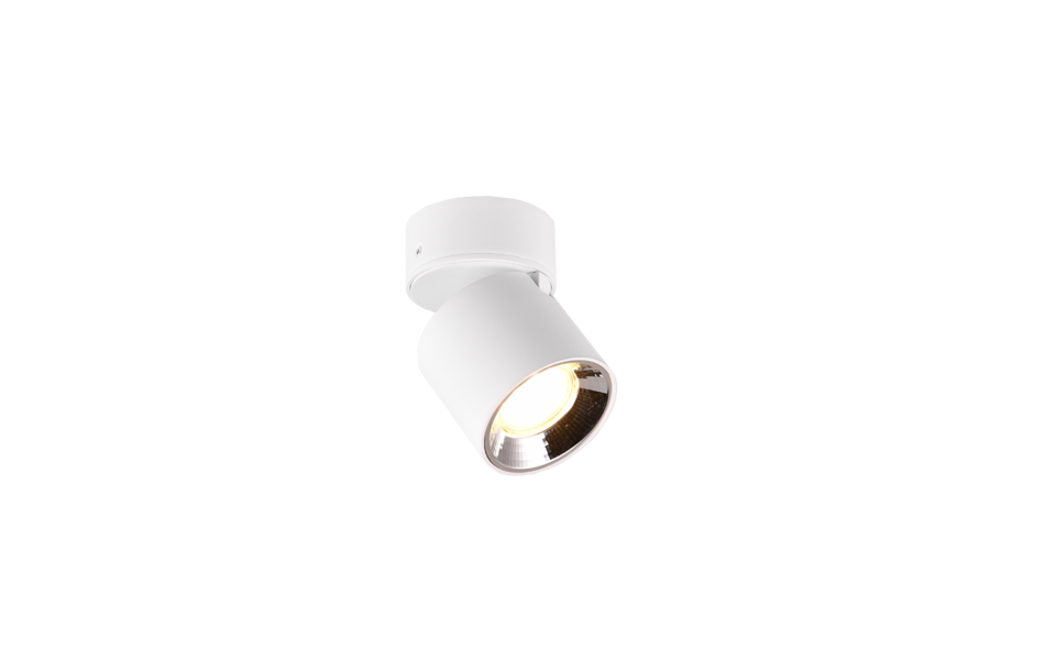 Trio Lighting Trio GUAYANA plafondlamp | GU10 Fitting | wit mat | Ø 8,7 cm | IP20 | excl. 1x GU10 | max. 10W