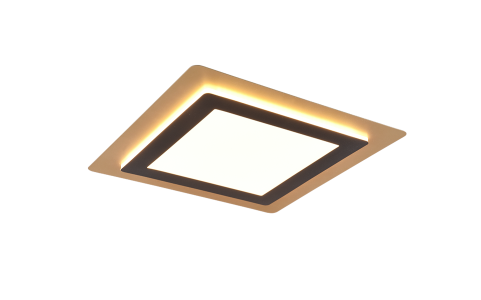 Trio Lighting Trio MORGAN ceiling light | 50W | black with gold | Ø 45 cm | IP20 | 4.5 cm