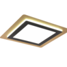 Zwart-goud