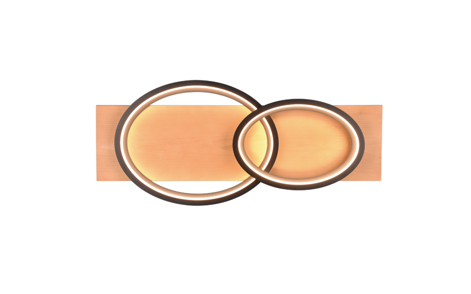 Trio Lighting Trio BARCA ceiling light | 30W | black | IP20