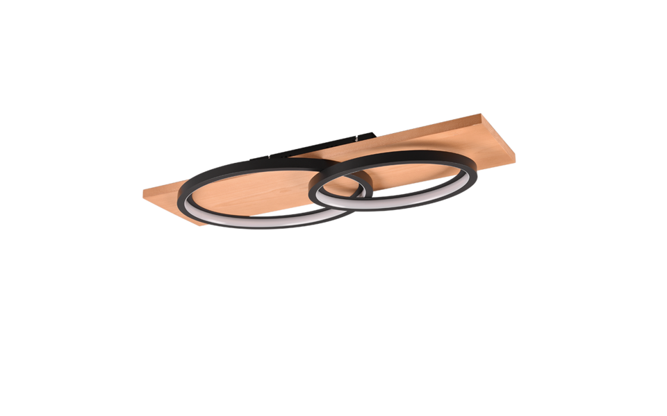 Trio Lighting Trio BARCA ceiling light | 30W | black | IP20
