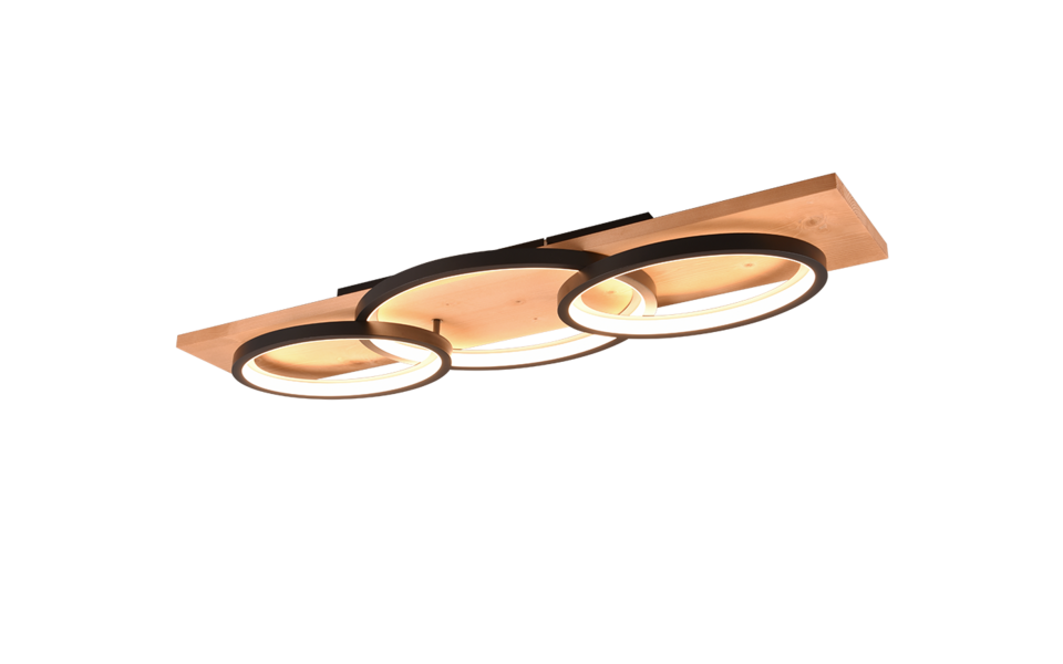 Trio Lighting Trio BARCA ceiling light | 40W | black | IP20