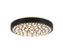 Trio Lighting Trio CHIZU plafondlamp | LED | mat zwart | Ø 40,5 cm | IP20 | 1x 22W | 2500 lm | 2700-6000K | dimbaar