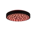 Trio Lighting Trio CHIZU LED ceiling light | 1x 22W 2500 lm 2700-6000K | black | Ø 40 cm | IP20 | 8.5 cm