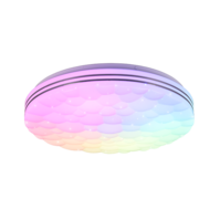 Trio TIGER LED ceiling light | Ø 40 cm | IP20