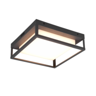 Trio WITHAM LED ceiling light | Ø 30 cm