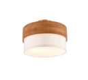 Trio Lighting Trio SEASONS ceiling light | 2x E14 max 40W | white | Ø 30 cm | IP20 | 22 cm