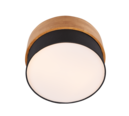 Trio Lighting Trio SEASONS ceiling light | 2x E14 max 40W | Ø 30 cm | IP20 | 22 cm