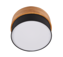Trio Lighting Trio SEASONS ceiling light | 2x E14 max 40W | Ø 30 cm | IP20 | 22 cm