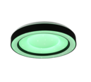Trio Lighting Trio ARCO LED ceiling light | 1x 22W 2500 lm 2700-6000K | black | Ø 49 cm | IP20 | 8 cm