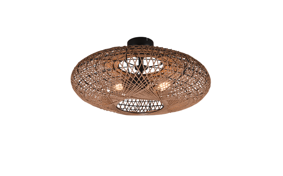 Trio Lighting Trio HEDDA ceiling light | 2x E27 max 40W | Ø 52 cm | IP20 | 28 cm
