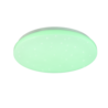 Wit