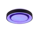 Trio Lighting Trio MONA LED ceiling light | 1x 20W 2400 lm 3000-6000K | black | Ø 38 cm | IP20 | 7.5 cm