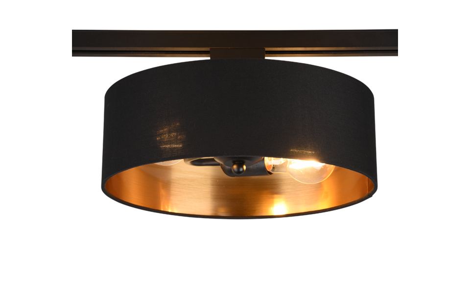 Trio Lighting Trio HOSTEL plafondlamp | E27 Fitting | zwart met goud | Ø 30 cm | IP20 | excl. 2x E27 | max. 25W