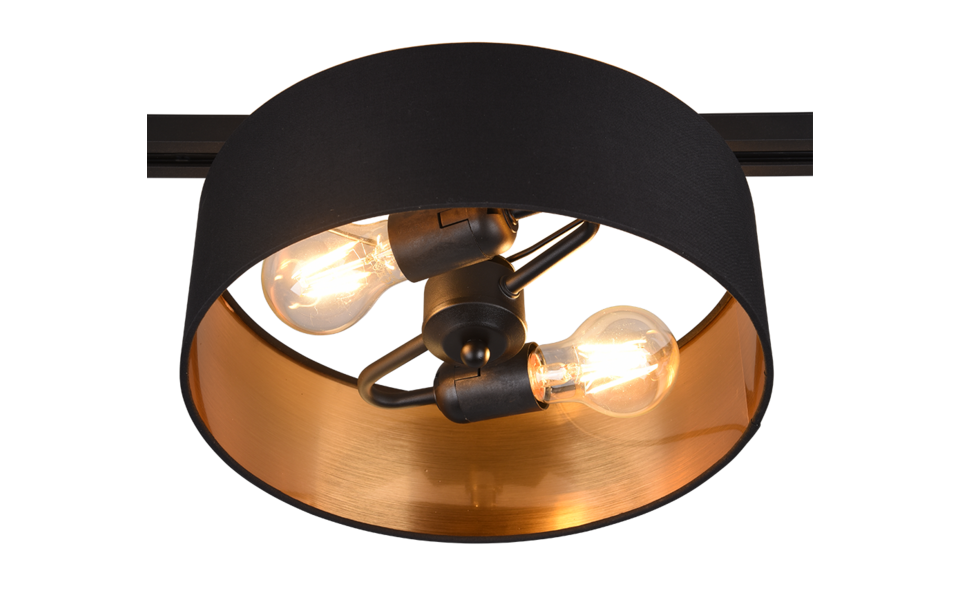 Trio Lighting Trio HOSTEL ceiling light | 2x E27 max 40W | black with gold | Ø 30 cm | IP20 | 16.3 cm