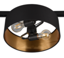 Trio Lighting Trio HOSTEL plafondlamp | E27 Fitting | zwart met goud | Ø 30 cm | IP20 | excl. 2x E27 | max. 25W
