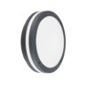 Antraciet