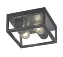 Trio Lighting Trio GARONNE plafondlamp | E27 Fitting | antraciet met transparant | 24 x 24 cm | IP44 | excl. 2x E27 | max. 10W