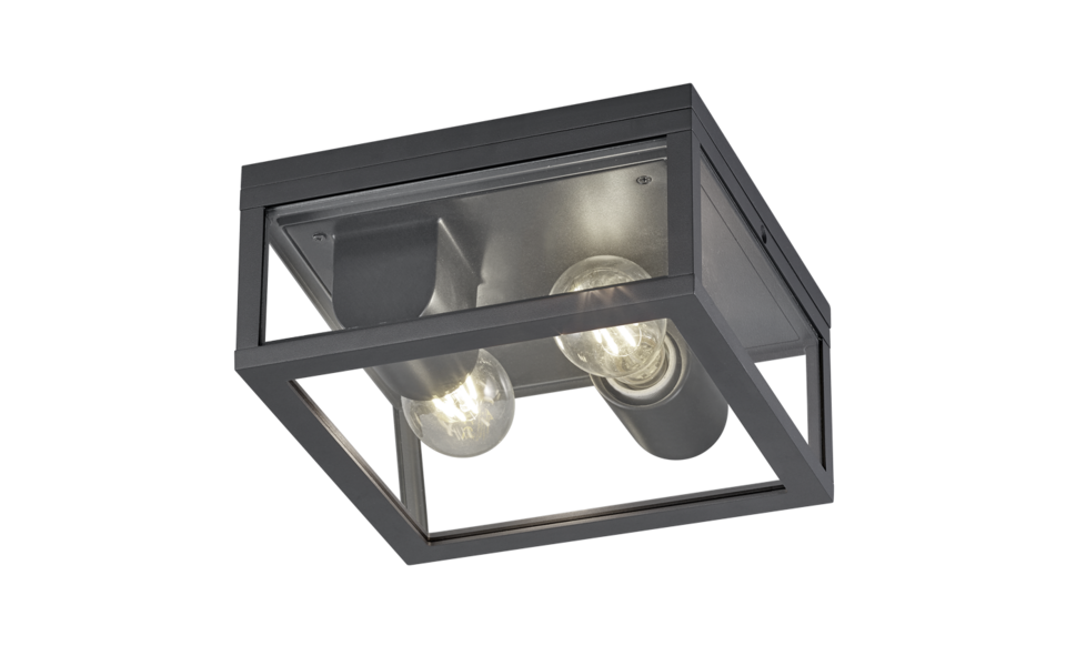 Trio Lighting Trio GARONNE plafondlamp | E27 Fitting | antraciet met transparant | 24 x 24 cm | IP44 | excl. 2x E27 | max. 10W