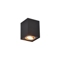 Trio BISCUIT ceiling light | GU10 | black/gold | IP20 Trio BISCUIT ceiling light | GU10 | black/gold | IP20