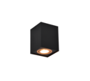 Trio Lighting Trio BISCUIT ceiling light | 1x GU10 | black with gold | IP20