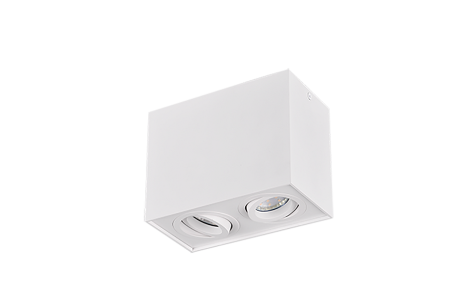 Trio Lighting Trio BISCUIT plafondlamp | GU10 Fitting | wit mat | 17,8 x 9,6 cm | IP20 | excl. 2x GU10 | max. 35W Trio Lighting Trio BISCUIT plafondlamp | GU10 Fitting | wit mat | 17,8 x 9,6 cm | IP20 | excl. 2x GU10 | max. 35W