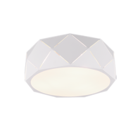 Trio ZANDOR plafondlamp | wit mat | IP20 | E27 Fitting