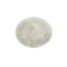 Kleur