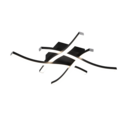 Trio Lighting Trio ROUTE plafondlamp | LED | mat zwart met wit | 46 x 46 cm | IP20 | 4x 5W | 500 lm | 3000K | niet dimbaar