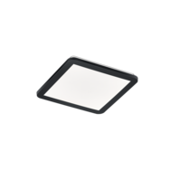 Trio CAMILLUS LED ceiling light | black | Ø 30 cm | IP20