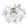 Kleur Kleur