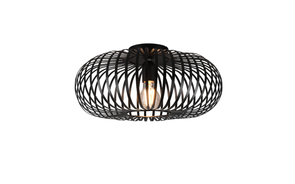Trio Lighting Trio JOHANN plafondlamp | E27 Fitting | mat zwart | Ø 40 cm | IP20 | excl. 1x E27 | max. 60W