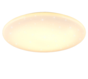 Trio Lighting Trio NAGANO plafondlamp | LED | wit | Ø 79 cm | IP20 | 1x 72W | 8500 lm | 3000-5500K | dimbaar