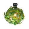Kleur