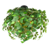 Kleur Kleur