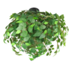 Mat zwart, Groen Mat zwart, Groen