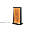 Trio Lighting Trio KALEA table lamp | 14W | 30.3 cm