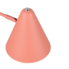 abrikoos