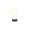 Kleur