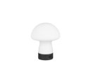 Trio Lighting Trio DOOLEY LED table lamp | 1x 1.5W 140 lm 3000K | chrome | Ø 14 cm | 18 cm