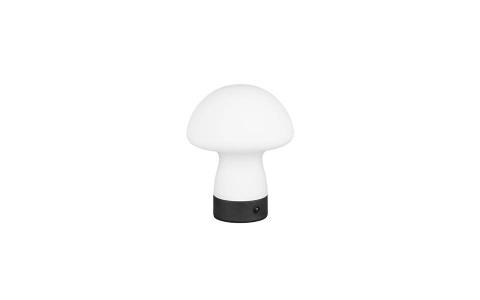 Trio Lighting Trio DOOLEY tafellamp | LED | wit mat | Ø 14 cm | IP20 | 1x 1,5W | 140 lm | 3000K Trio Lighting Trio DOOLEY tafellamp | LED | wit mat | Ø 14 cm | IP20 | 1x 1,5W | 140 lm | 3000K