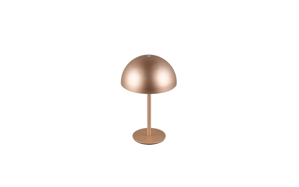 Trio Lighting Trio MUNOZ LED table lamp | 1x 1.3W 120 lm 3000K | mocha brown | Ø 13 cm | 21 cm