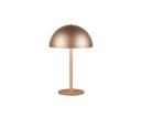 Trio Lighting Trio MUNOZ LED table lamp | 1x 1.3W 120 lm 3000K | mocha brown | Ø 13 cm | 21 cm