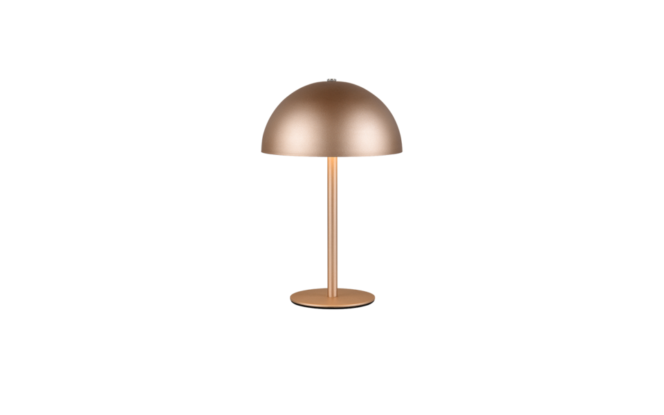 Trio Lighting Trio MUNOZ LED table lamp | 1x 1.3W 120 lm 3000K | mocha brown | Ø 13 cm | 21 cm