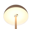 Trio Lighting Trio MUNOZ LED table lamp | 1x 1.3W 120 lm 3000K | mocha brown | Ø 13 cm | 21 cm